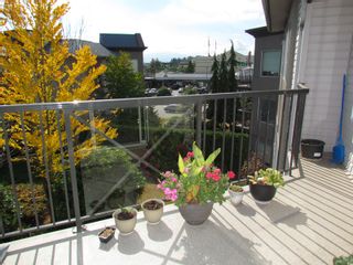 Photo 18: #321 32725 GEORGE FERGUSON WY in ABBOTSFORD: Abbotsford West Condo for rent in "UPTOWN" (Abbotsford) 