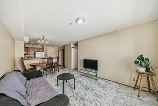 Photo 9: 107 92 Saddletree Court NE in Calgary: Saddle Ridge Apartment for sale : MLS®# A2118184