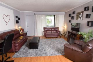 Photo 10: 411 1210 PACIFIC STREET in Coquitlam: North Coquitlam Condo for sale : MLS®# R2116009