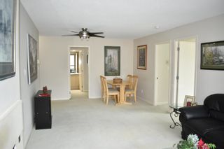 Photo 8: 501 4888 HAZEL Street in Burnaby: Forest Glen BS Condo for sale in "The Newark" (Burnaby South)  : MLS®# R2664302