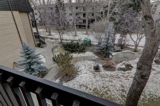 Photo 12: 58 3519 49 Street NW in Calgary: Varsity Apartment for sale : MLS®# A2099410