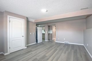 Photo 23: 240 erin meadow Green in Calgary: Erin Woods Detached for sale : MLS®# A2003999