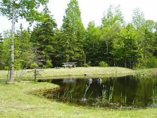 Photo 7: Lot 16 FUNDY BAY Drive in Victoria Harbour: 404-Kings County Vacant Land for sale (Annapolis Valley)  : MLS®# 201902464