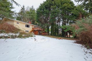 Photo 23: 2429 Barbara Pl in Central Saanich: CS Tanner House for sale : MLS®# 865788