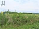 Photo 7: 2010 Prospect Drive in Wabasca: Vacant Land for sale : MLS®# A2015493