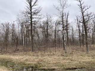 Photo 4: 15 Poplar Street in Roseau River: Vacant Land for sale : MLS®# 202304247
