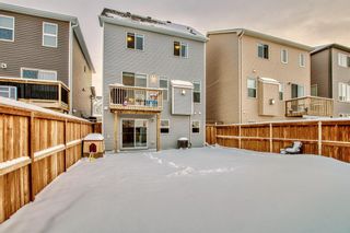 Photo 34: 85 Windford Park SW: Airdrie Detached for sale : MLS®# A2022419