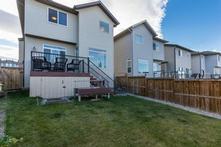 Photo 30: 34 PANORA View NW in Calgary: Panorama Hills Detached for sale : MLS®# A1027248