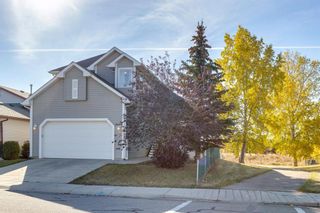 Photo 50: 31 Silver Creek Boulevard NW: Airdrie Detached for sale : MLS®# A2005994