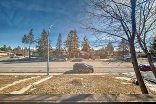 Photo 24: 1709 50 Street SE in Calgary: Forest Lawn Semi Detached (Half Duplex) for sale : MLS®# A2115014