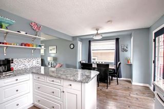 Photo 19: 8827 48 Avenue NW in Calgary: Bowness Detached for sale : MLS®# A1250820