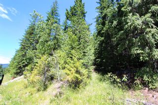Photo 25: Lot 212 Estate Place in Anglemont: North Shuswap Land Only for sale : MLS®# 10233839