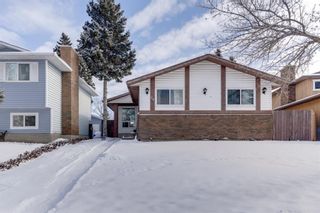 Photo 37: 76 Templewood Road NE in Calgary: Temple Detached for sale : MLS®# A1190228