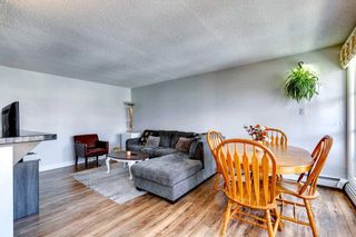 Photo 6: 1003 733 14 Avenue SW in Calgary: Beltline Apartment for sale : MLS®# A2126085