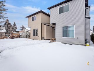 Photo 35: 2214 42 Street SE in Calgary: Forest Lawn Detached for sale : MLS®# A2031476