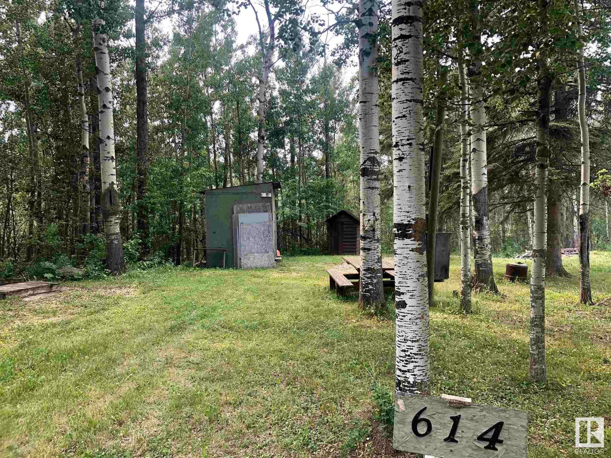 Main Photo: 614 6 Street: Rural Wetaskiwin County Vacant Lot/Land for sale : MLS®# E4255127