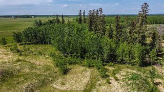 Photo 30: 3344 Township Road 370: Rural Red Deer County Detached for sale : MLS®# A2053150