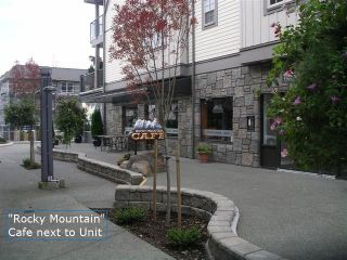 Photo 13: #308  1695 Comox Ave., in Comox: Condo for sale (FVREB Out of Town)  : MLS®# 284902