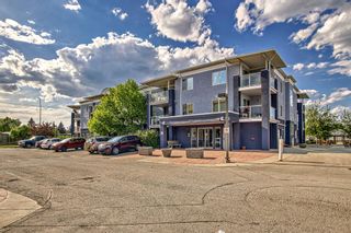 Photo 45: 1215 2280 68 Street NE in Calgary: Monterey Park Apartment for sale : MLS®# A2054328