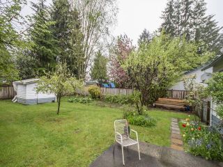Photo 15: 21706 DEWDNEY TRUNK Road in Maple Ridge: West Central House for sale : MLS®# R2162436