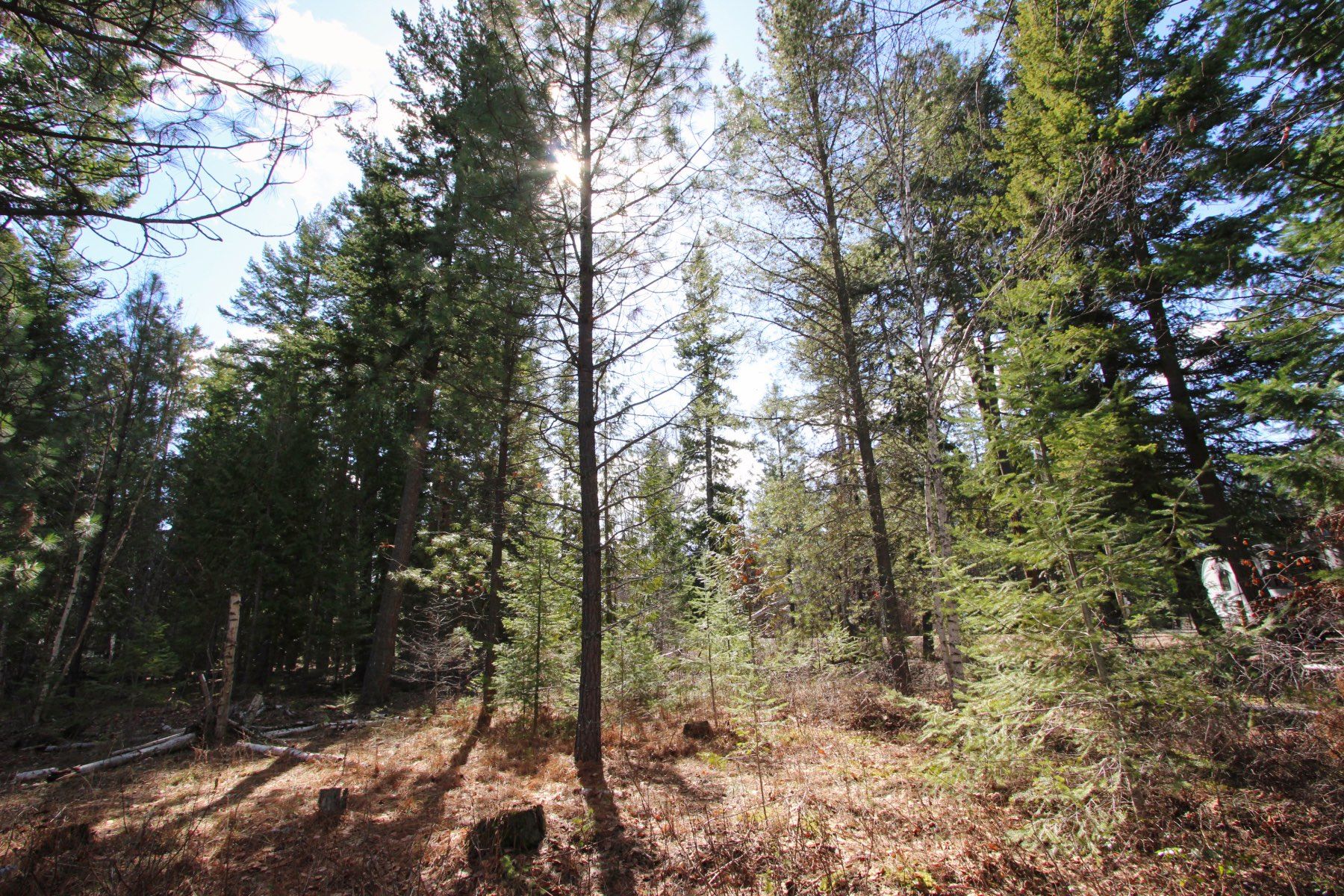 Photo 20: Photos: Lot B Zinck Road in Scotch Creek: Land Only for sale : MLS®# 10249220