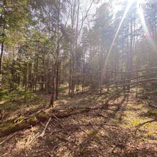 Photo 15: Lot 8 Old Trunk Highway 3 in Hebbs Cross: 405-Lunenburg County Vacant Land for sale (South Shore)  : MLS®# 202300313