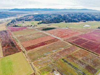Photo 20: 8201 DYKE Road in Abbotsford: Bradner Agri-Business for sale : MLS®# C8051831