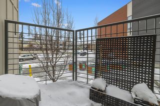 Photo 25: 301 93 34 Avenue SW in Calgary: Parkhill Apartment for sale : MLS®# A2033686