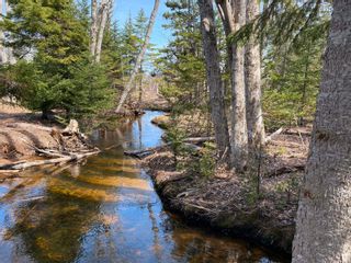 Photo 22: Lot 22 Lakeside Drive in Little Harbour: 108-Rural Pictou County Vacant Land for sale (Northern Region)  : MLS®# 202304936