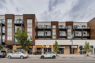 Photo 16: 314 1899 45 Street NW in Calgary: Montgomery Apartment for sale : MLS®# A2130571