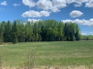 Photo 13: NW-3-45-7-W5   West of Cowboy Trail Hwy #22 in Rural Wetaskiwin No. 10, County of: Rural Wetaskiwin County Residential Land for sale : MLS®# A1230343