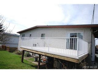Photo 18: 4211 Panorama Dr in VICTORIA: SE High Quadra House for sale (Saanich East)  : MLS®# 666369