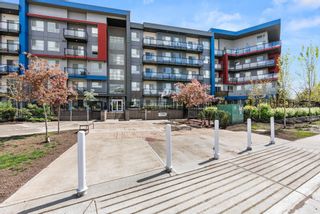 Main Photo: 211 5486 199A Street in Langley: Langley City Condo for sale in "Ezekiel" : MLS®# R2878206