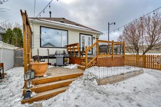 Photo 47: 6 inverness Park in Calgary: McKenzie Towne Detached for sale : MLS®# A2024450