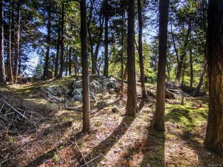 Photo 3: 2378 Andover Rd in NANOOSE BAY: PQ Fairwinds Land for sale (Parksville/Qualicum)  : MLS®# 837735