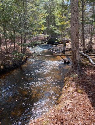 Photo 10: Lot 21 Lakeside Drive in Little Harbour: 108-Rural Pictou County Vacant Land for sale (Northern Region)  : MLS®# 202207907
