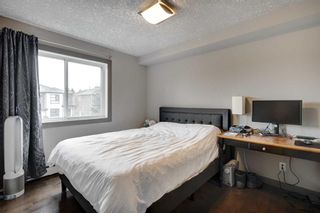 Photo 15: 203 2411 29 Street SW in Calgary: Killarney/Glengarry Apartment for sale : MLS®# A2128044
