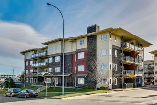 Photo 25: 330 11 Millrise Drive SW in Calgary: Millrise Apartment for sale : MLS®# A1258427