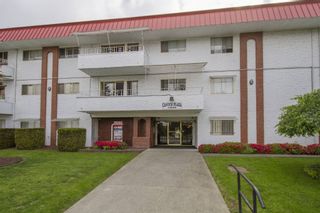 Photo 19: 307-12096 222nd in Maple Ridge: West Central Condo for sale : MLS®# R2065694