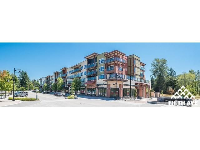 Photo 8: Photos: # 214 20728 Willoughby Town Centre Dr. in Langley: Willoughby Heights Condo for sale : MLS®# F1446617