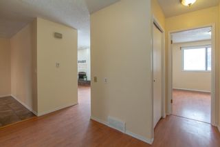 Photo 30: 124 Pineland Place NE in Calgary: Pineridge Detached for sale : MLS®# A1206997