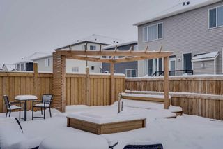 Photo 39: 828 Windrow Green SW: Airdrie Detached for sale : MLS®# A2116571