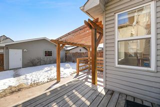 Photo 39: 107 Elgin View SE in Calgary: McKenzie Towne Detached for sale : MLS®# A1208693