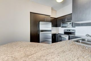 Photo 16: 2007 8710 Horton Road SW in Calgary: Haysboro Apartment for sale : MLS®# A2002865