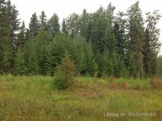 Photo 7: LOT 1 B2 MOUNTAIN SPRINGS SUBDV.: Rural Woodlands County Residential Land for sale : MLS®# A2043991