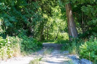Photo 29: 9505 LILLOOET FOREST SERVICE Road in Pemberton: Pemberton Meadows Land for sale : MLS®# R2727152