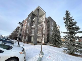 Photo 1: 123 7110 80 Avenue NE in Calgary: Saddle Ridge Apartment for sale : MLS®# A2016796