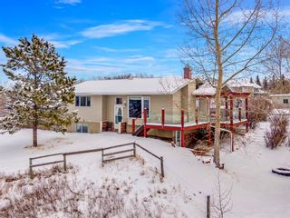 Photo 5: 242069 8 Street E: Rural Foothills County Detached for sale : MLS®# A1190701