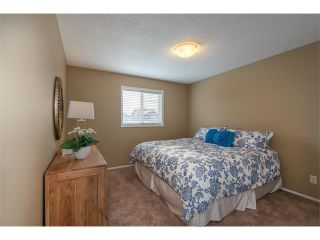 Photo 20: 289 West Lakeview Drive: Chestermere House for sale : MLS®# C4092730