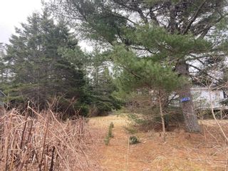 Photo 6: 10522 Highway 7 in Oyster Pond: 35-Halifax County East Vacant Land for sale (Halifax-Dartmouth)  : MLS®# 202205861